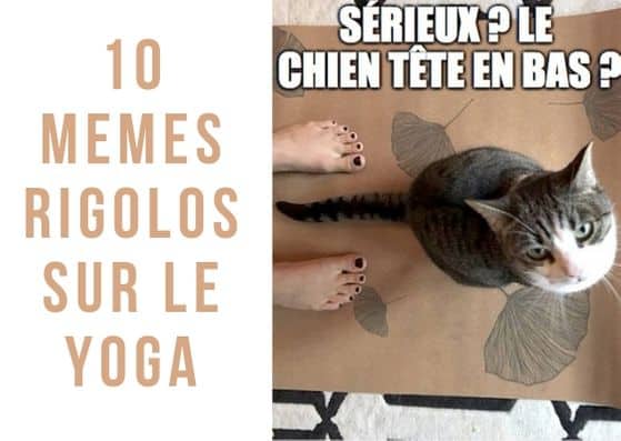 Longue journée? Faites une pause et amusez-vous avec ces memes rigolos de yoga.
