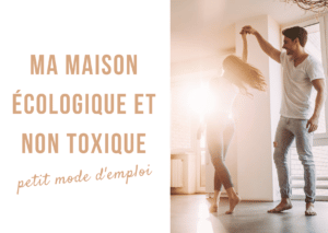 maison écologique et non toxique mode d'emploi